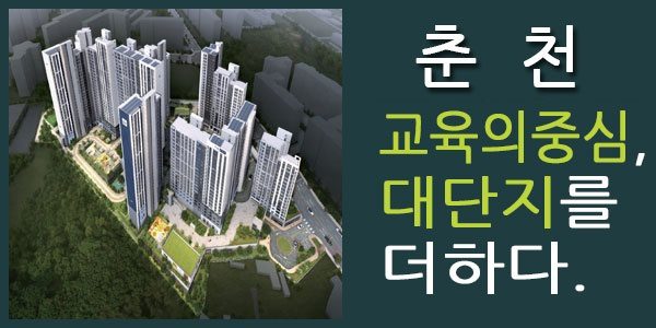 공지사항